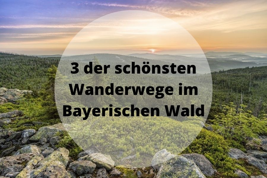 bayerischer wald